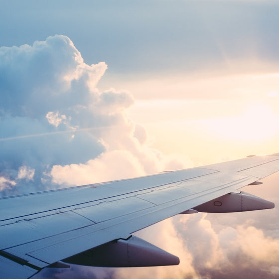 DigiTravel Finds™